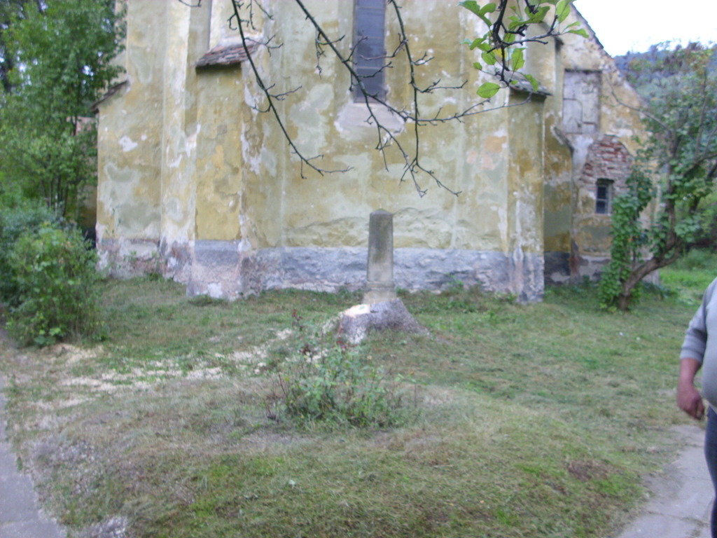 DSCI0147