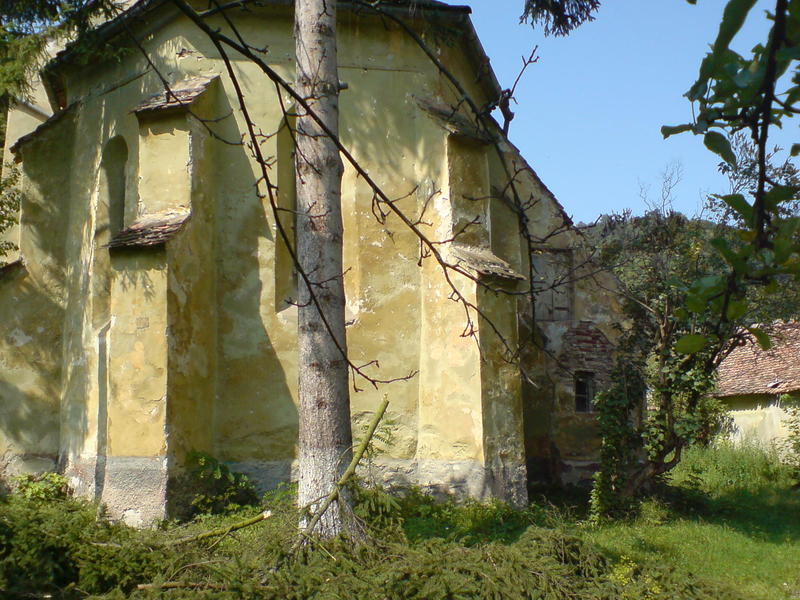 DSC03025