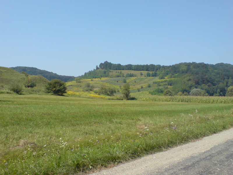 DSC03051