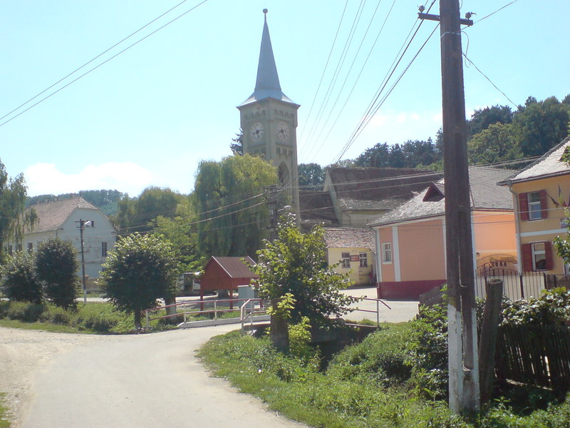 DSC03085