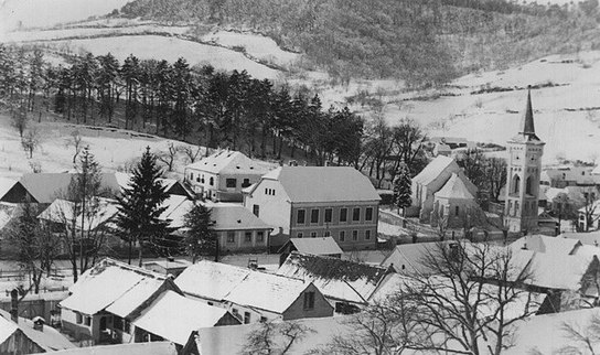 nimesch4